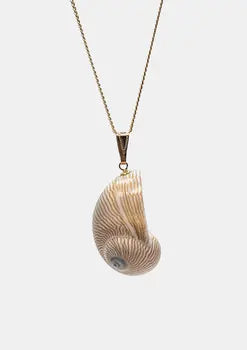 Collier coquillage Line - La Maison Gisel B